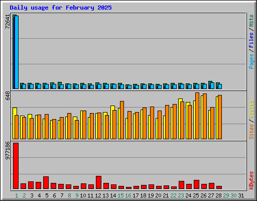 Daily usage for February 2025